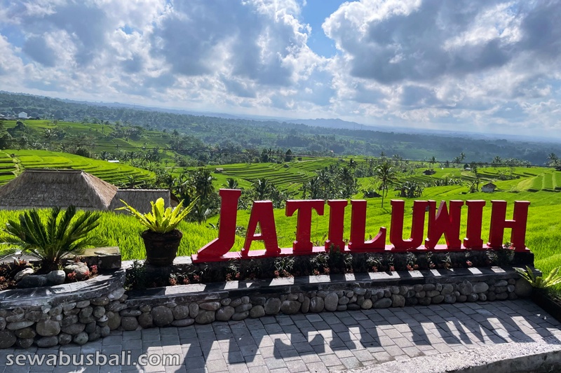desa jatiluwih di kabupaten tabanan