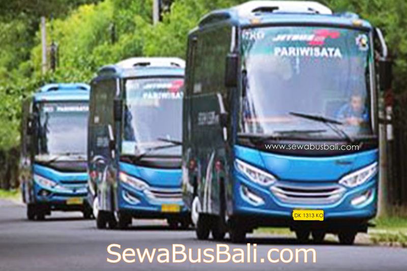 Fenomena Pariwisata Bali dan Jumlah PO Bus Pariwisata: Sebuah Tinjauan Komprehensif